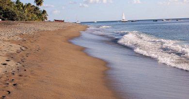 La Martinique, un paradis à découvrir !